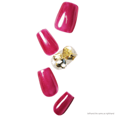 باربي الأنيقة