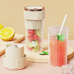 Rechargeable Fruit and Vegetable Juicer B8-300ml