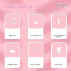 Facial beauty cold spray charging model