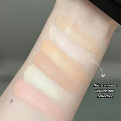 Six color concealer integrated plate