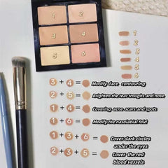 Six color concealer integrated plate