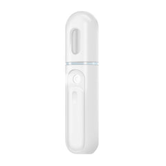 Facial beauty cold spray charging model